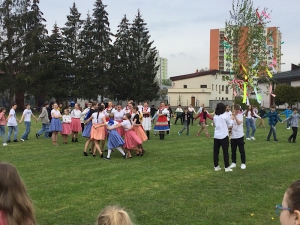 Stavanie mája