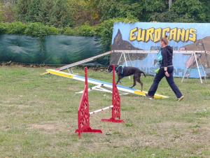 Deti z ŠKD na návšteve v klube Eurocanis!