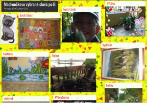 Na vybrané slová s fotoaparátom