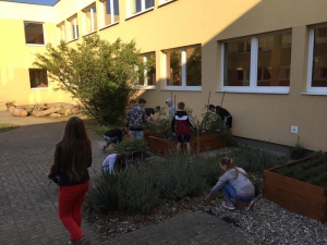 Mesačný bulletin o našom projekte (september)