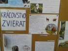 Projektová práca 1. D - Kráľovstvo zvierat