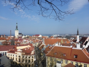 Projekt Erasmus+ Adoptuj rieku - Estónsko 1